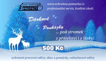 Obrázek Vánoční dárkový poukaz 500 Kč (virtuální)